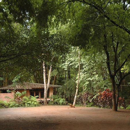 Momchailai Forest Retreat Kanchanaburi Ngoại thất bức ảnh