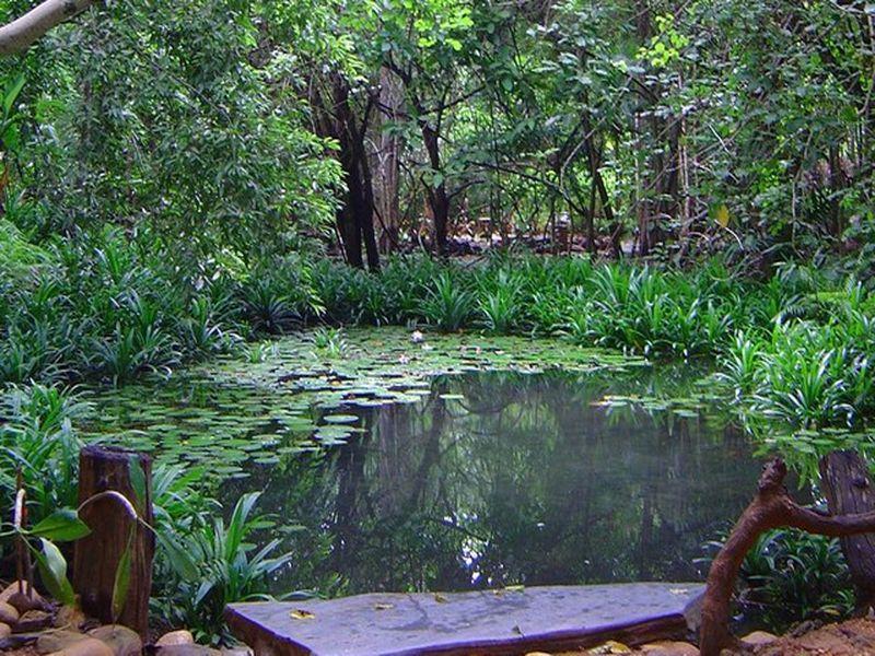 Momchailai Forest Retreat Kanchanaburi Ngoại thất bức ảnh